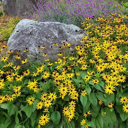 The Courtyard !!!! Apartamento *