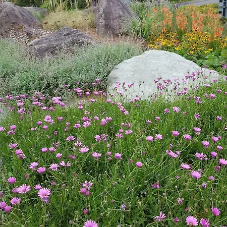 The Courtyard !!!! كيلارني