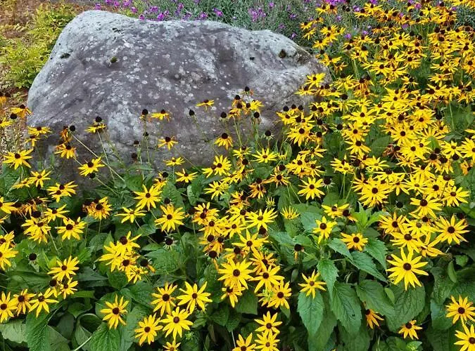 The Courtyard !!!! Appartement *