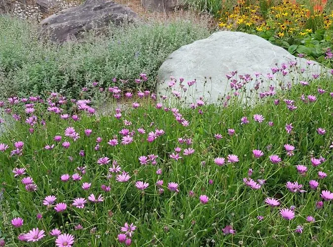 The Courtyard !!!! Killarney